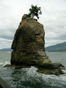 Photo : Creative Commons