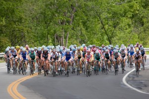 François Hogue, Creative Commons