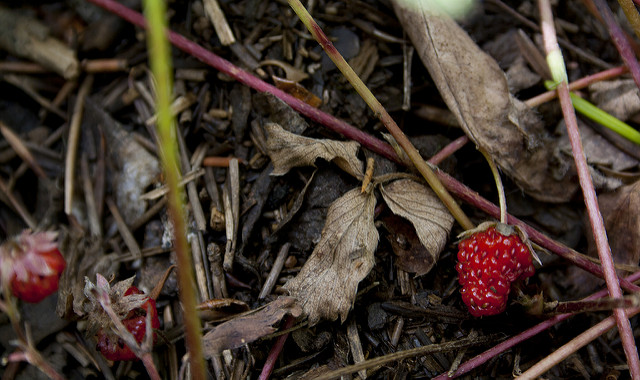 7698335540_27aca23ee1_z