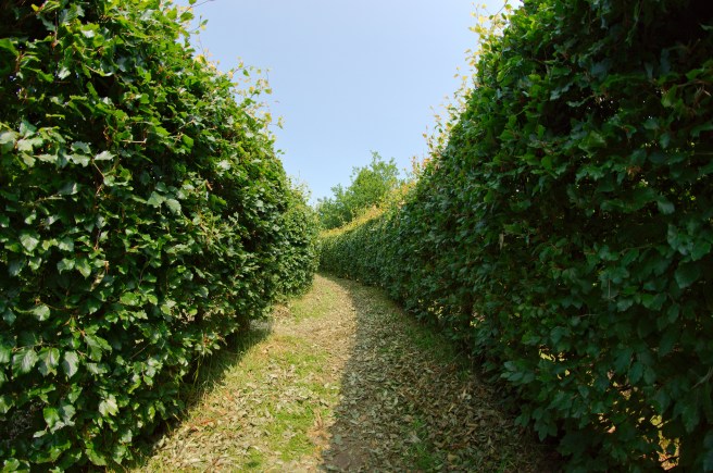 9271861482_f1661e38f9_k