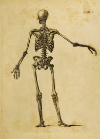 18951321490_a8c7e1e5a6_h